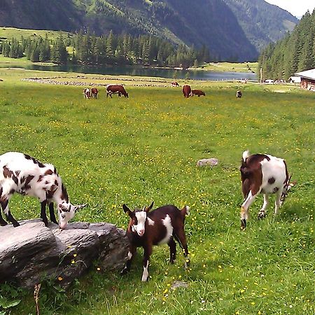 Ferienhaus Gerlinde II Kaprun Eksteriør bilde